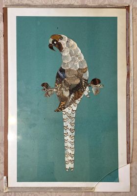 une photo d'une photo représentant un oiseau accrochée au mur