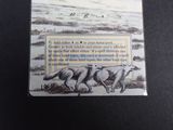 a picture of a card with a picture of a herd of sheep