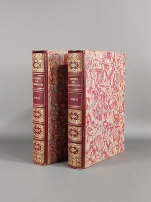 Les deux livres sont posés côte à côte sur une surface grise.