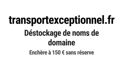 Nom de domaine transportexceptionnel.