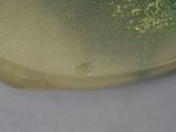 a close up of a green vase with a white base