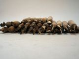 a pile of nuts that are sitting on a table