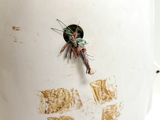 a white vase with a bug on it on a table