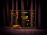 an insect in a glass case with a purple curtain behind it