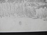 pencil drawing of a landscape with a house and trees in the background
