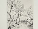 Photo 2/10 du lot