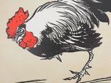 a black and white rooster with a red comb on it ' s head