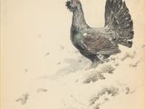 drawing of a hen in the snow with mountains in the background