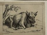 quatre images différentes d'une vache et d'une vache couchée par terre