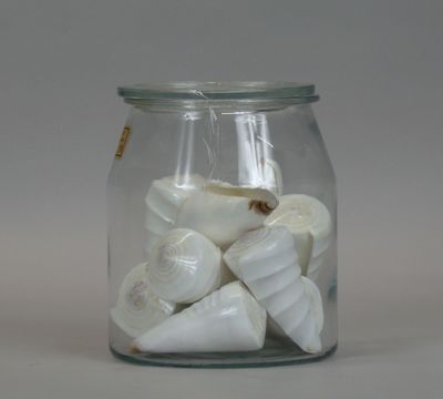 a glass jar with shells in it on a table