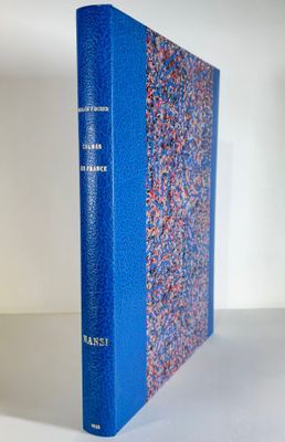 an image of a blue book sitting on top of a white table