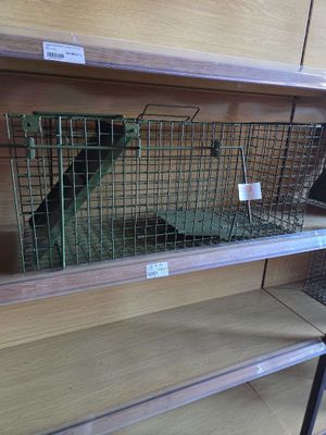 a bird that is sitting in a cage on a shelf