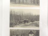 three black and white photographs of horses and people in a wooded area