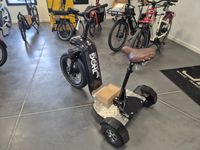 Triporteur électrique ZOSH, avec caisson DAKEN et chargeur. (photo 4)