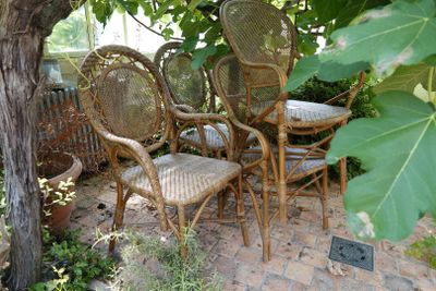quatre chaises en osier et une table sous un arbre
