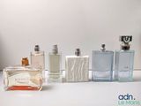 Plusieurs flacons de parfum sont alignés sur une surface blanche