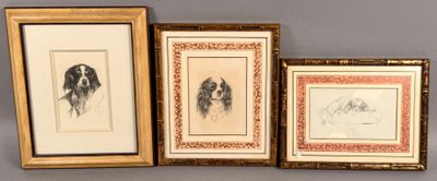 three framed drawings of dogs are on display in a gold frame