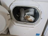 a white washer and a dryer in a room