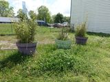 deux jardinières posées dans l'herbe