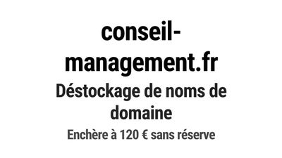 Nom de domaine conseil-management.
