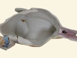 a figurine of a turtle with a baby in it ' s shell