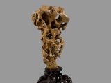 a close up of a sculpture of a skull on a stand