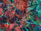 peinture abstraite représentant un enchevêtrement de fils et de câbles sur fond rouge