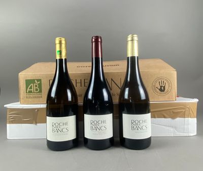 9 B Roche des Bancs (blanc), Les grandes plantées, 2022