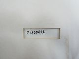 le dos d'une chemise blanche sur laquelle figure une inscription noire