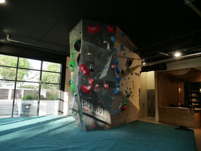 Sur Une Mise A Prix DE 10.000euros Vente D'UN Mur D Escalade…