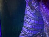 a woman that is sitting in a chair with a purple light