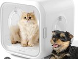 a small dog and a cat sitting in a small box