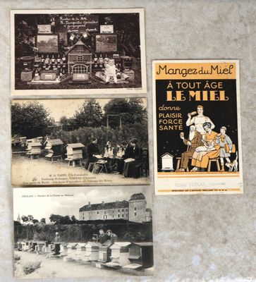 trois anciennes cartes postales représentant une ville et un hôtel au milieu du XXe siècle