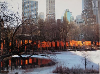 une photo d'un parc urbain en plein hiver