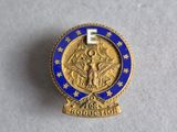 a close up of a gold and blue lapel pin