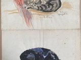 deux dessins représentant un chat et un chien sur une feuille de papier