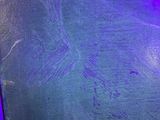 a fish swimming in a tank under a purple light