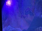 a painting of a man reading a newspaper in a dark room