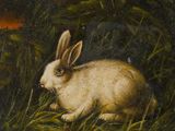 a painting of a white rabbit sitting in the grass near a pond