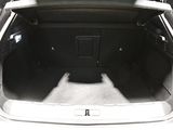 the back of a car with the trunk open and a cat in the trunk