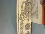 someone is holding an open book with a drawing of a tree on it