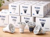plusieurs types d'ampoules posées sur une table à côté d'une plante