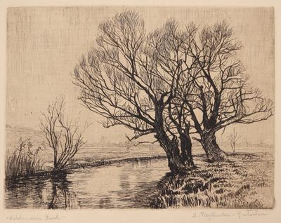 une image représentant deux arbres au bord d'une rivière