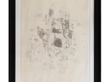 a black and white drawing of a dog ' s paw on a sheet of paper