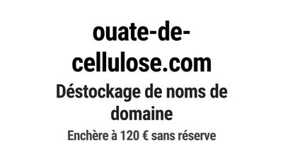 Nom de domaine ouate-de-cellulose.