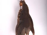 a bird hanging from a hook on a white wall