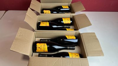 six bouteilles de vin sont posées sur une table dans un carton