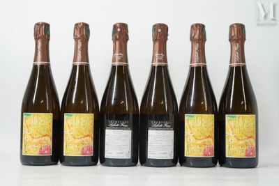 six bouteilles de vin sont alignées sur une table