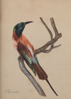 un dessin représentant un oiseau perché sur une branche d'arbre