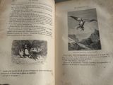 un livre ouvert sur lequel figure l'image d'un homme et d'un oiseau